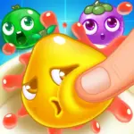 Fruit Splash Fruit Splash